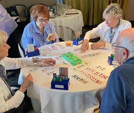 people playing bridge