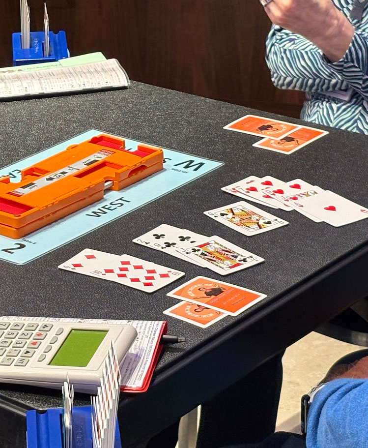 people playing bridge
