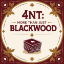 Picture of 4NT: More than Just Blackwood