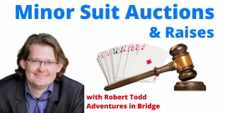 Robert Teaches Minor Suit Auctions & Raises
